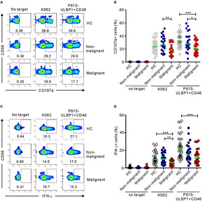 Progressive Impairment of NK Cell Cytotoxic Degranulation Is Associated With TGF-β1 Deregulation and Disease Progression in Pancreatic Cancer